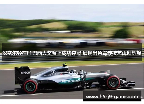 汉密尔顿在F1巴西大奖赛上成功夺冠 展现出色驾驶技艺再创辉煌