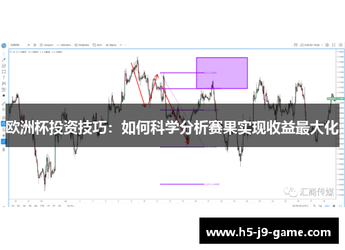 欧洲杯投资技巧：如何科学分析赛果实现收益最大化