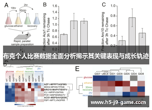 布克个人比赛数据全面分析揭示其关键表现与成长轨迹