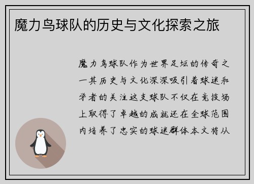魔力鸟球队的历史与文化探索之旅