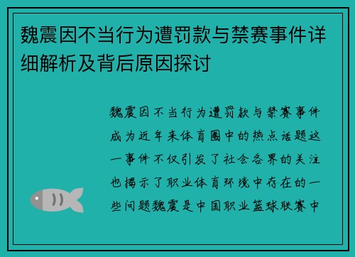 魏震因不当行为遭罚款与禁赛事件详细解析及背后原因探讨